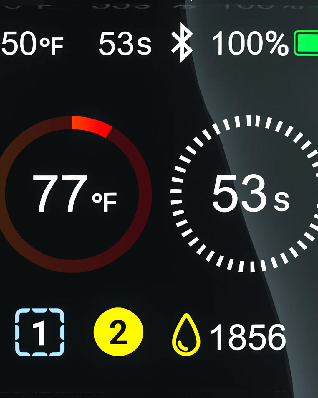 Focus V - Carta 2 - Grape